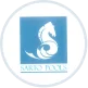 Sarto Pools LLC - Image